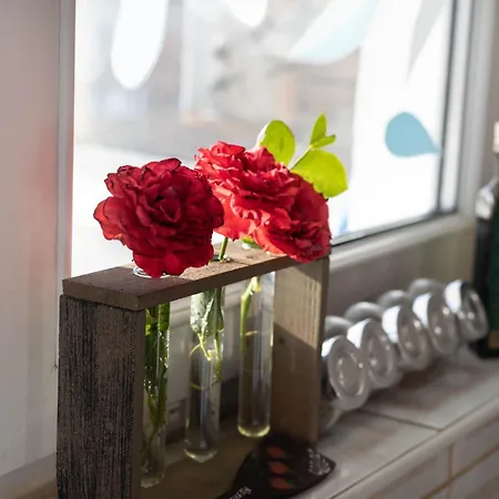 Διαμέρισμα Bird Nest 2 *