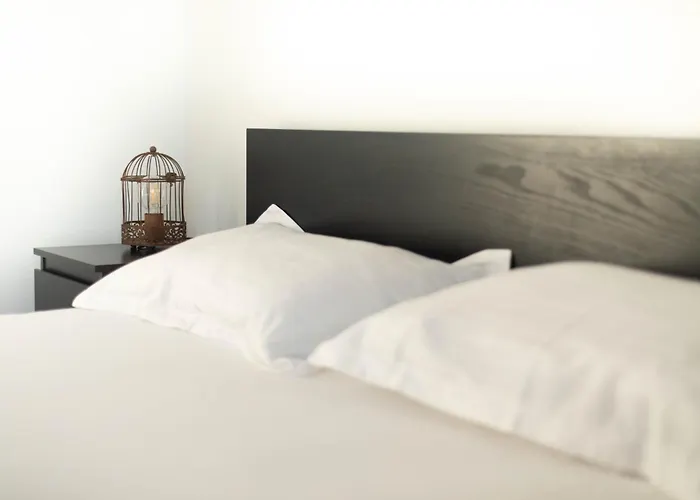 Bird Nest 2 Lägenhet